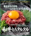 画像1: さしみーと和牛とろタルタル(ブロックタイプ)　4kg入り (1)