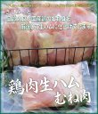 画像1: 【期間限定】さしみーと鶏肉生ハム（むね肉）　4kg入り (1)